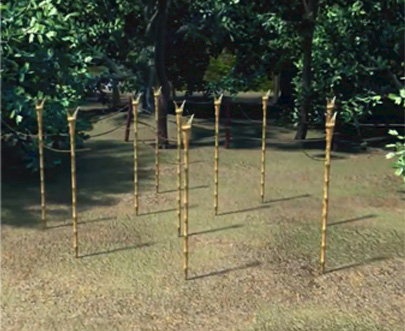 伯勞鳥3D動畫(屏東縣 枋山DOC)