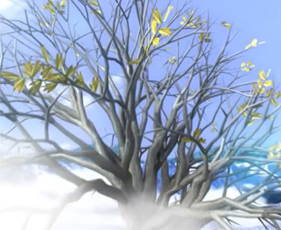 伯勞鳥3D動畫(屏東縣 枋山DOC)